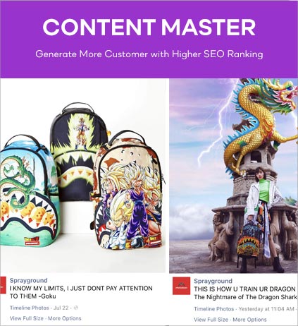 Content Development and Marketing Services Master package