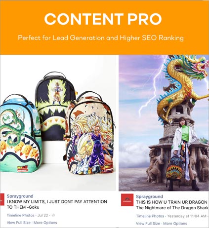 Content Development and Marketing Services Pro package